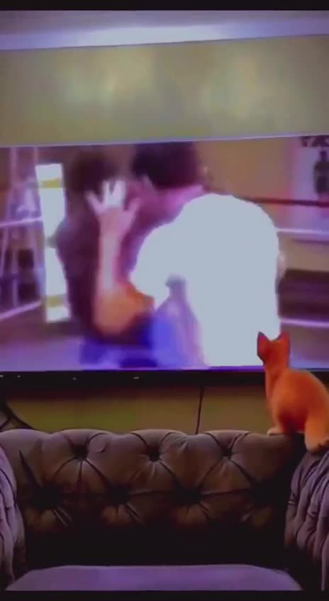 This is what happens when you let the ‘tv box’ raise your babies