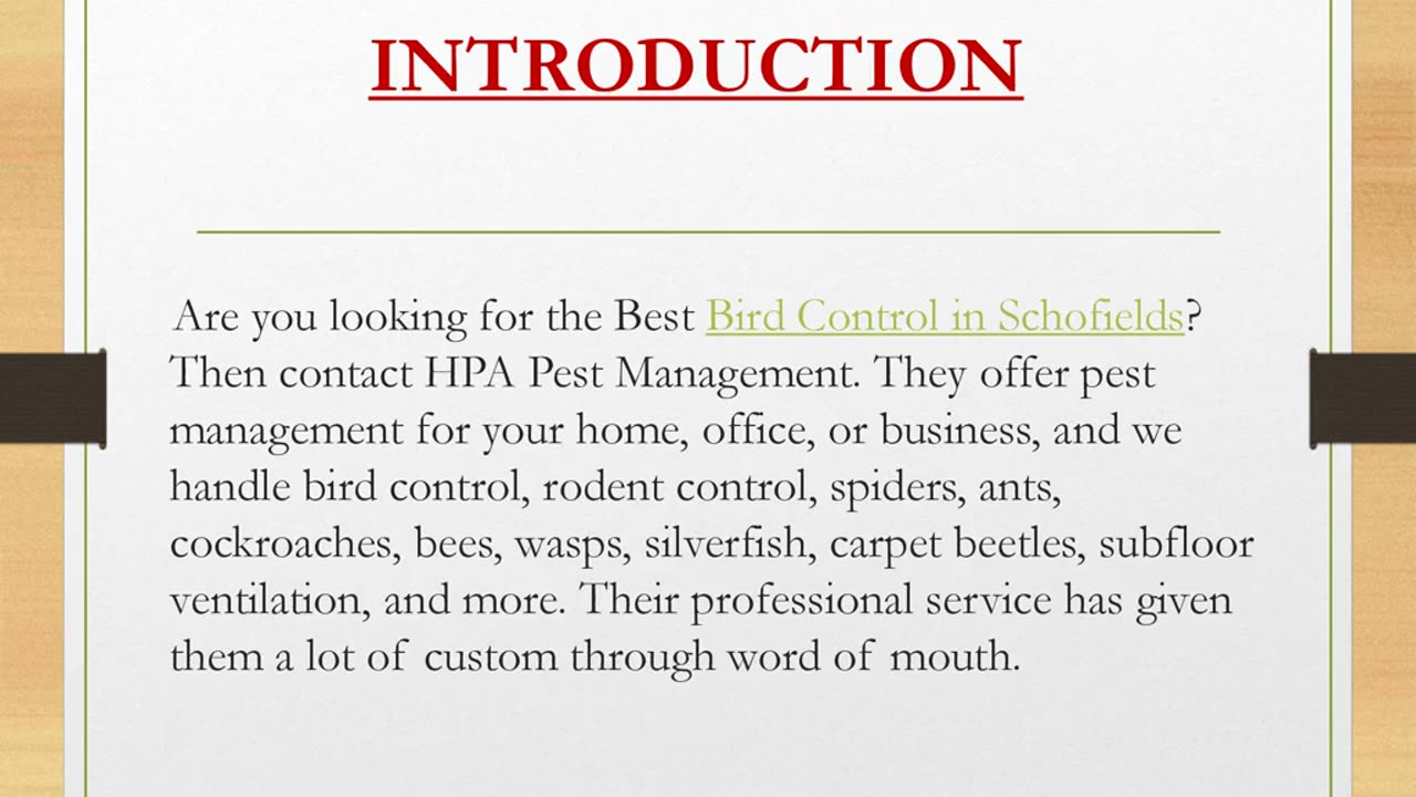 Best Bird Control in Schofields