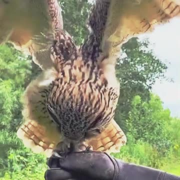 funny new fun funny jokes funny videos funny animal funny name funny memes funny movies