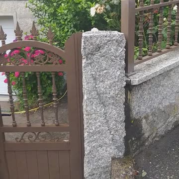 My beautiful Rex playing.