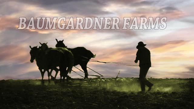 Introducing Baumgardner Farms