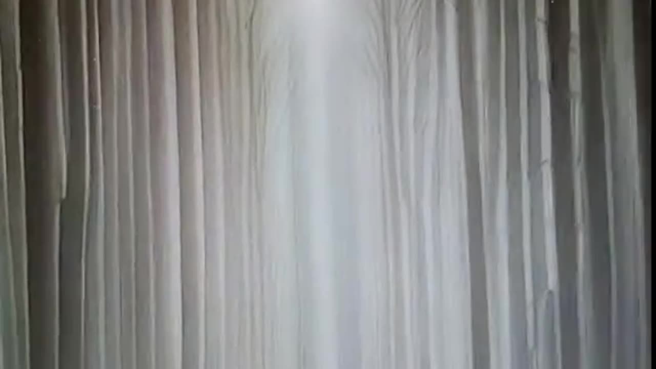 Spirit forest