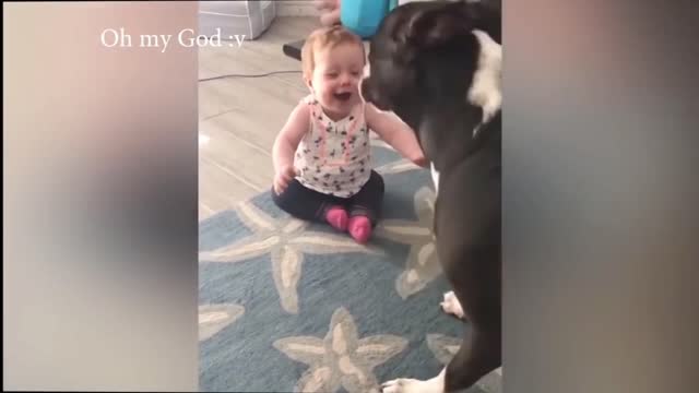 funny dog dancing babe beautiful smile