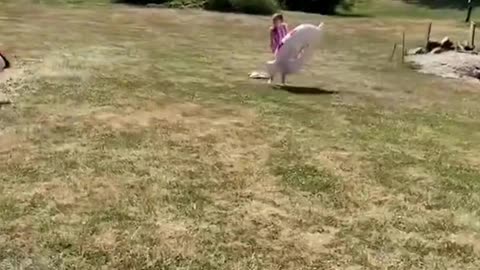 Which one really made you laugh? 😂😂😂 #funny #viral #shorts #reels #funnyvideos #fail