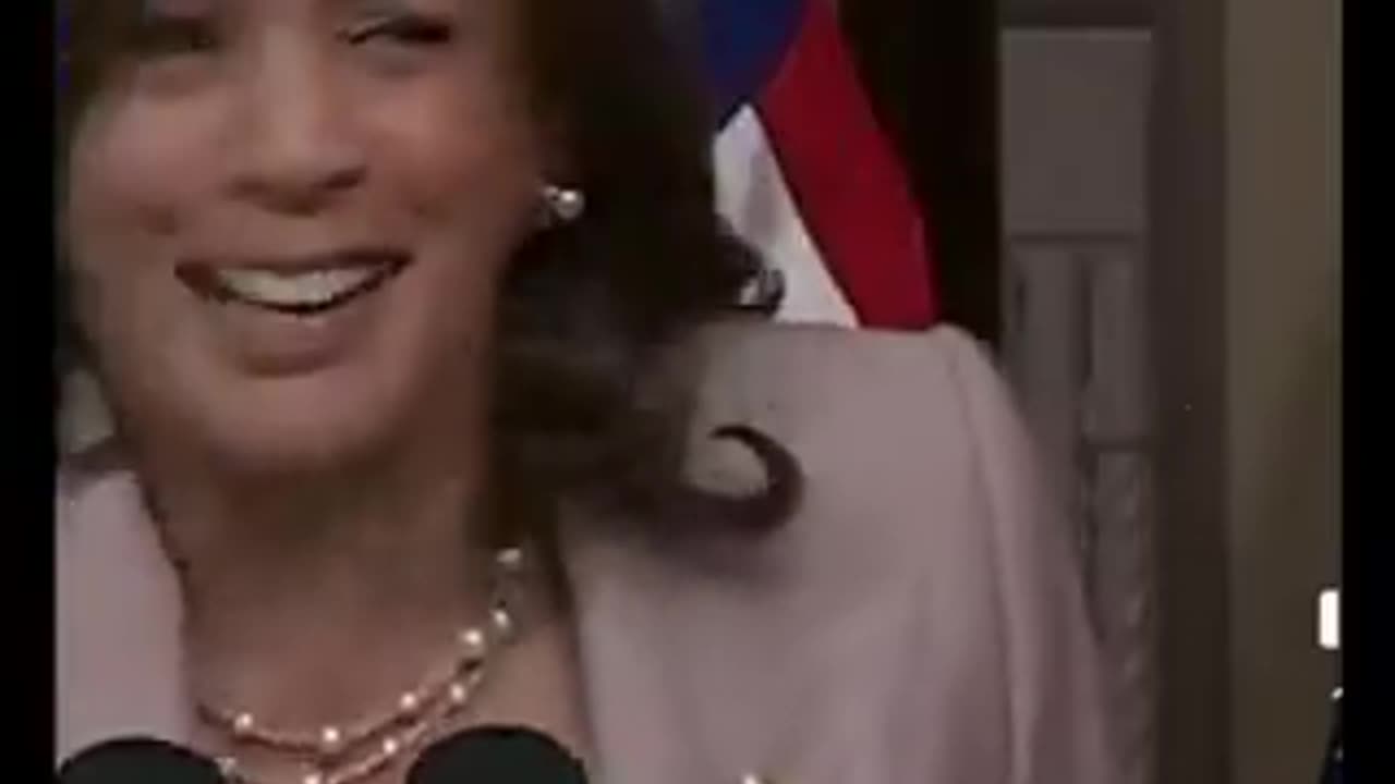 Kamala REALLY Likes Those Speaker Earrings - She Wore Them a TON during Rallys