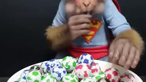 Cute Baby Monkey Eats Candy Balls