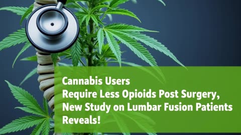 Cannabis Patients Require Less Opioids Post-Surgery, New Study on Lumbar Fusion Patients Reveals!