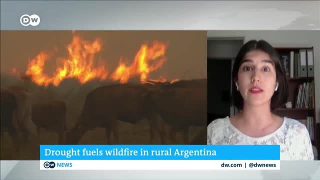 Firefighters in northern Argentina are struggling to contain massive wildfires | DW News