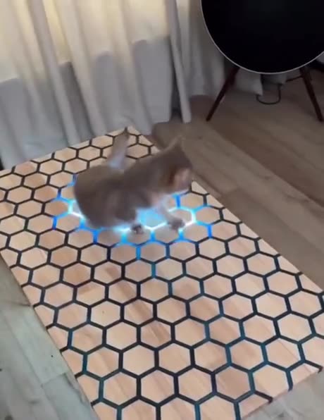 Interesting Table Design || Genius engineering