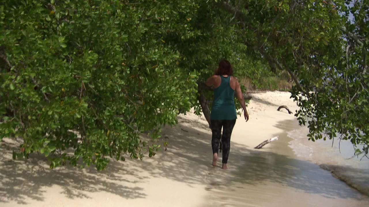 Robinson S17E08
