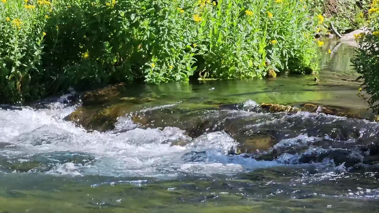 2023-07-06 River Hike With Mom