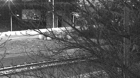 4405LOTS00Lot8-9East_2021-01-05_01h01min01s817ms.mp4