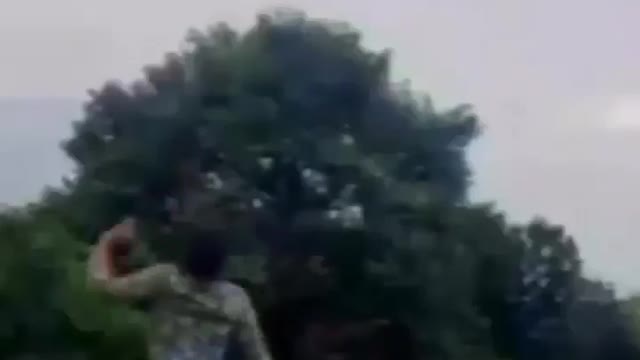 Funny videos wait for end..
