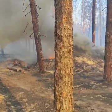 “F*ck it all, we f*cked up! The Ukrainians don’t joke, it’s just f*cked up!