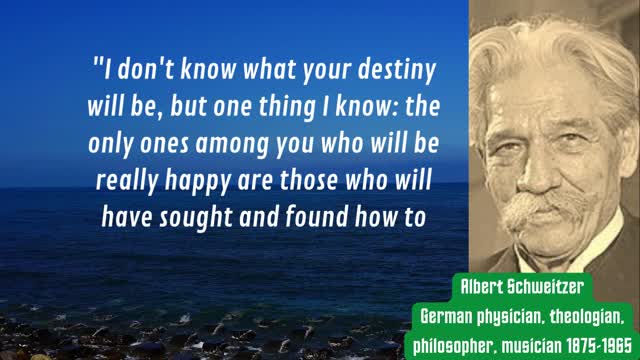 wise words "Albert Schweitzer" happiness is the key to success