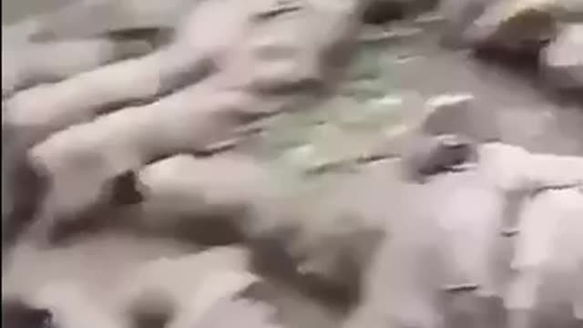 Large group of Ukrainians captured by Russian troops