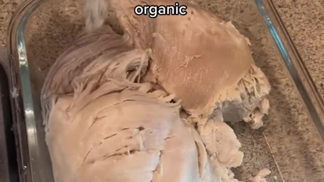 Why I cook my cats chicken as a treat