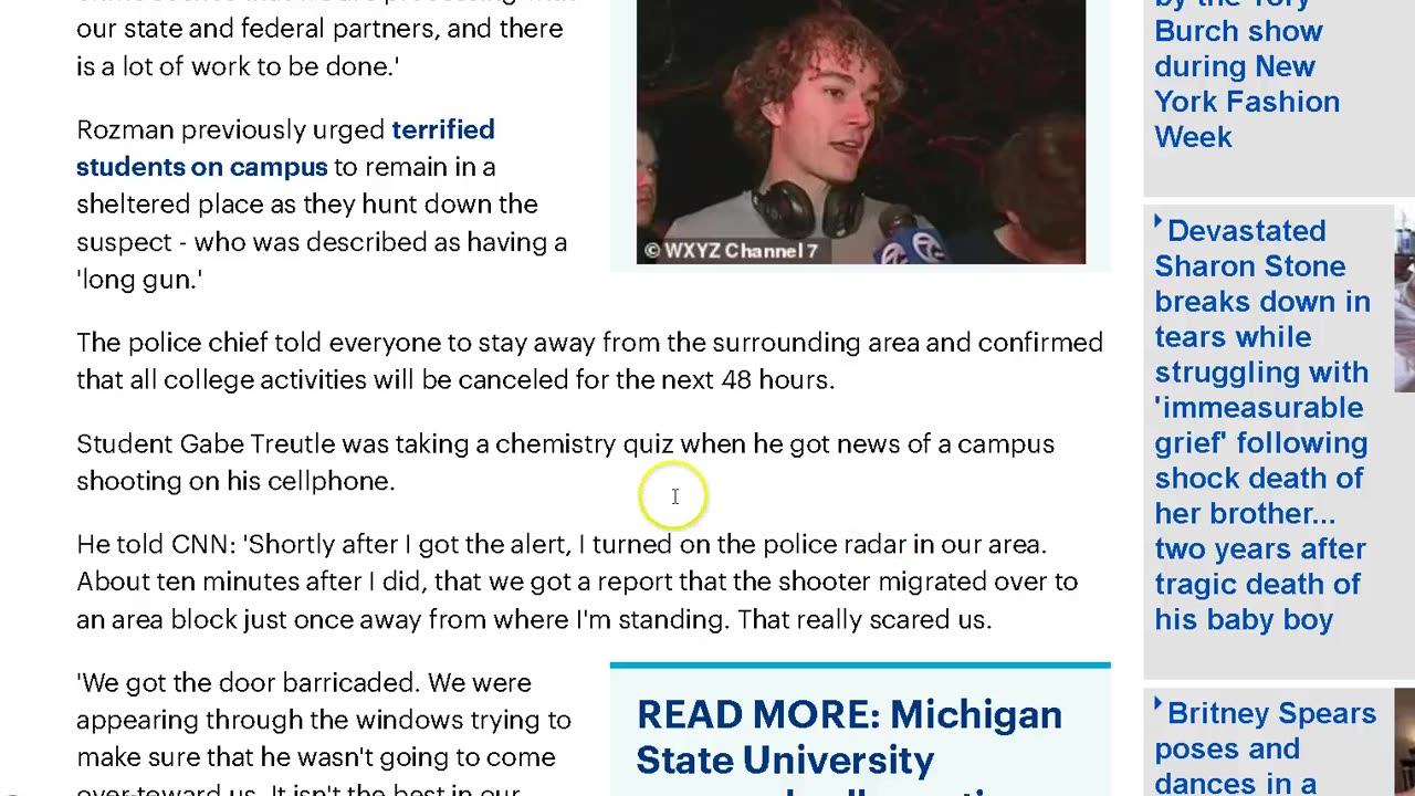 Fake Michigan State University