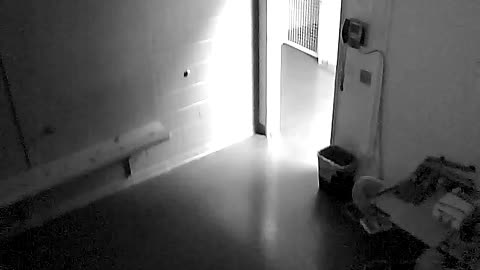 1700HQOB02208ALiveScanRoom_2021-01-05_00h40min00s943ms.mp4
