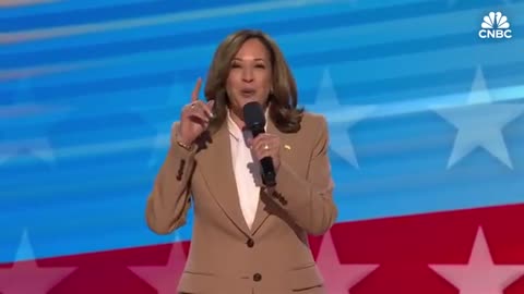 Vice President Kamala Harris briefly addresses crowd at Democratic National Convention