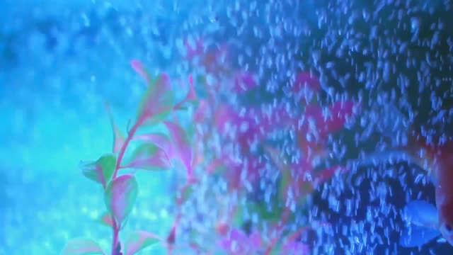 Water direction music interesting music video