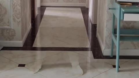 How much does the one I got from the best of it