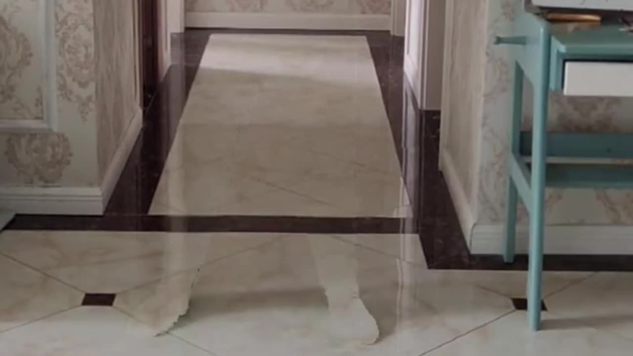 How much does the one I got from the best of it