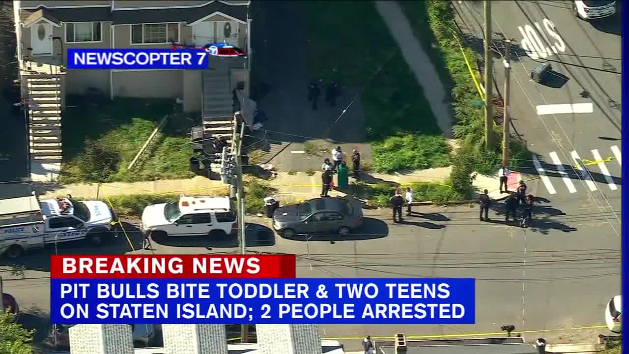 2 teens, toddler attacked by pit bulls on Staten Island