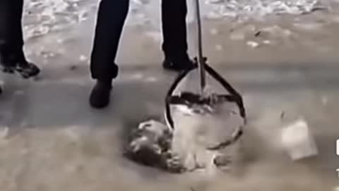 OMG! A CHINESE MAN CATCHES LOT OF FISHES