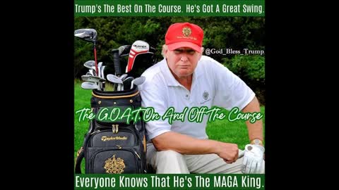 President Trump Memes by Andrea