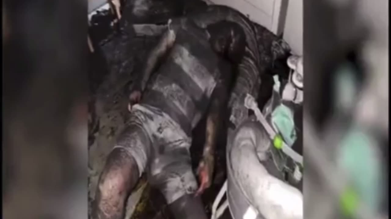 When you see islamo nazis parade their infants bodies remember this!