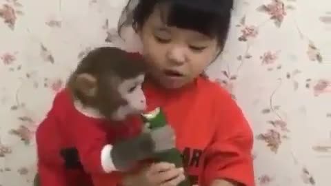 Funny Animal Video: Monkey vs Kid