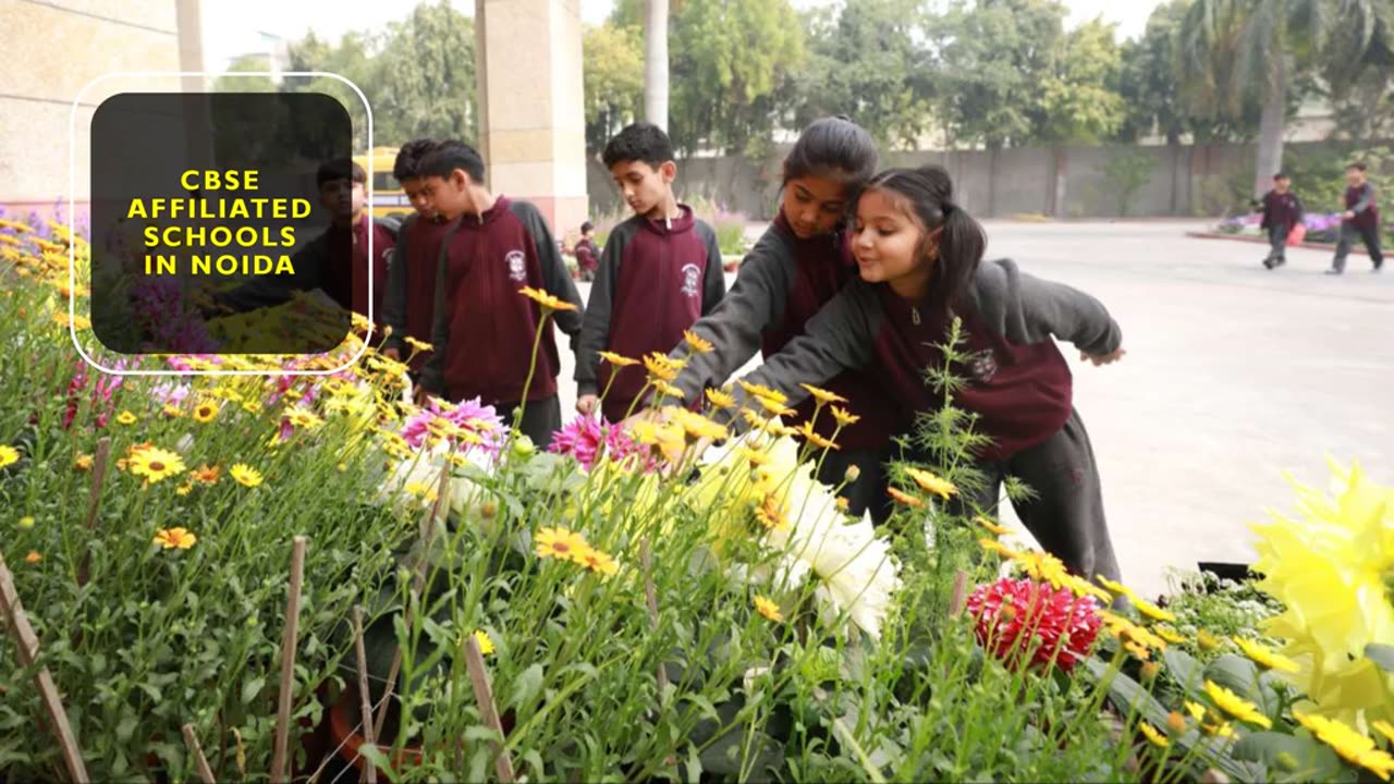 CBSE Affiliated Schools in Noida