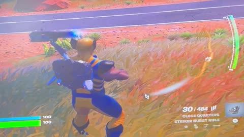 Fortnite battle Royale solos
