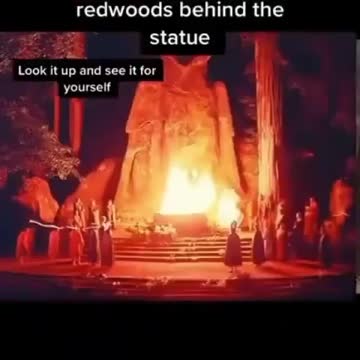 Redwood Grove CA / Moloch