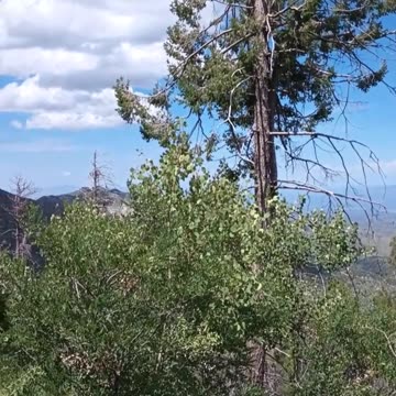 MT. LEMMON ARIZONA WELL WORTH A VISIT!