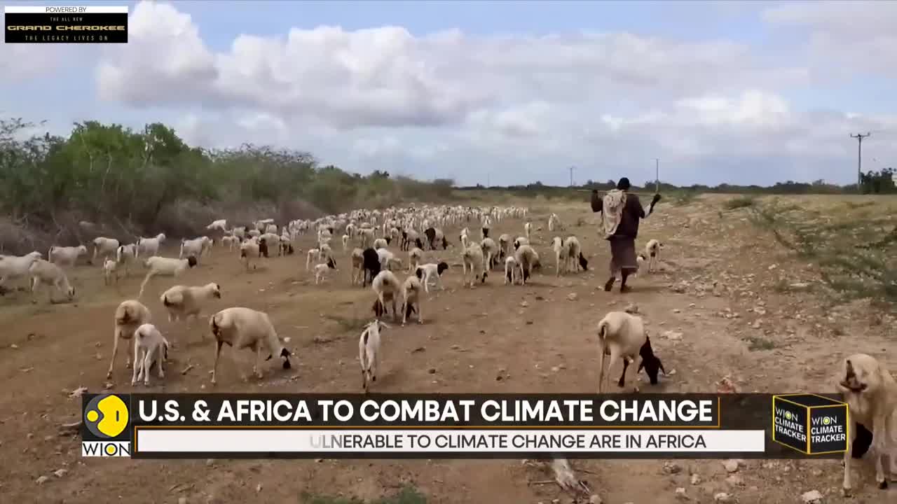 WION Climate Tracker_ Climate change is an increasing threat to Africa _ Latest World News