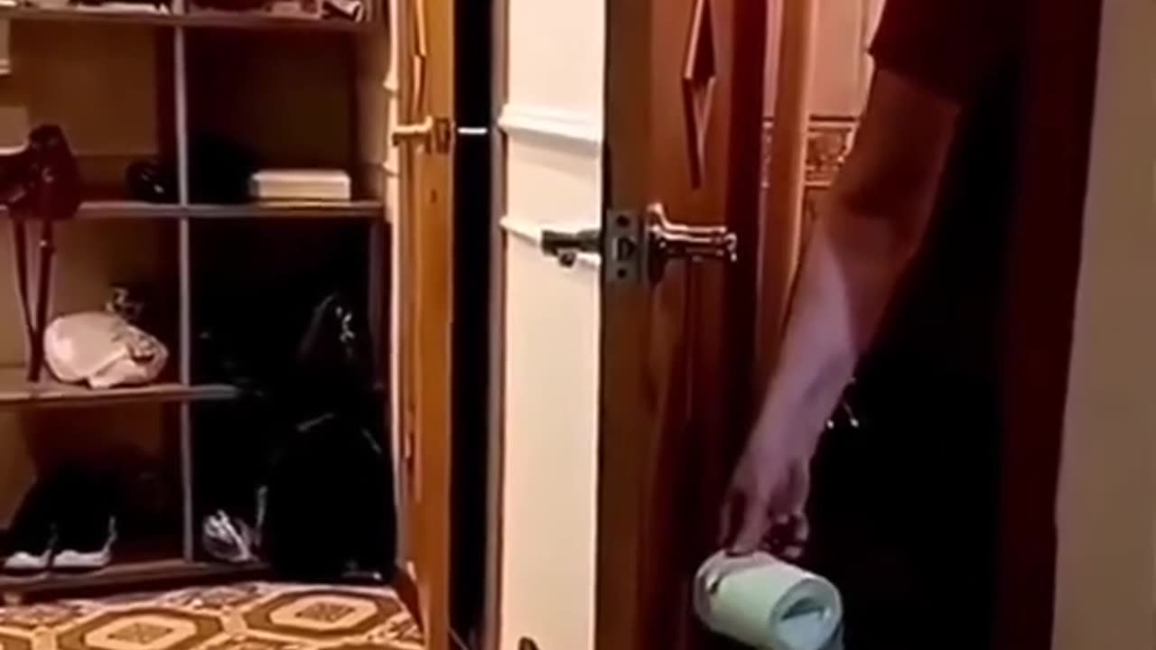 funny video