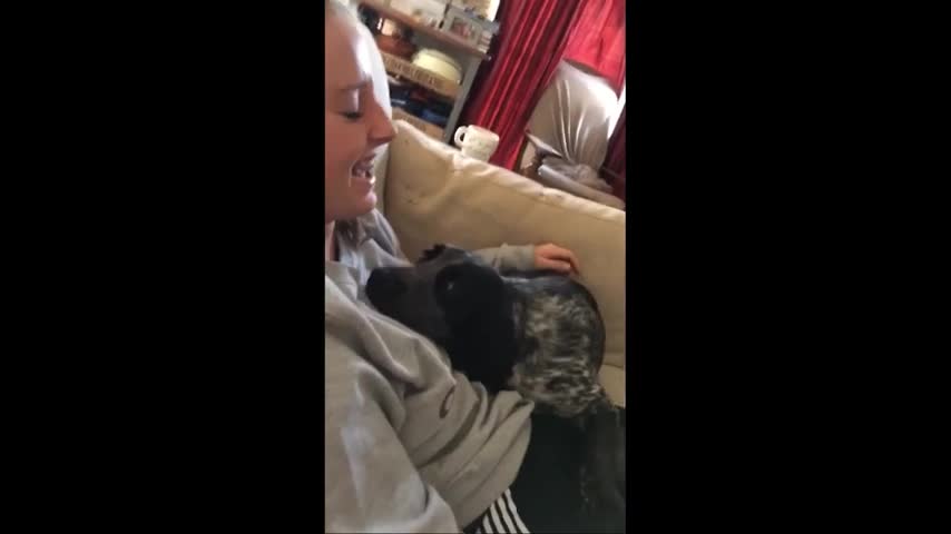 Clingy Dog Refuses to Stop Cuddling Caretaker