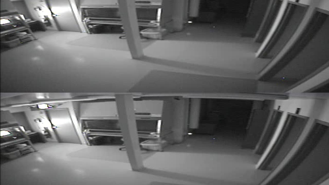 1702CRIB01CribAnalysisArea_2021-01-05_01h00min00s043ms.mp4