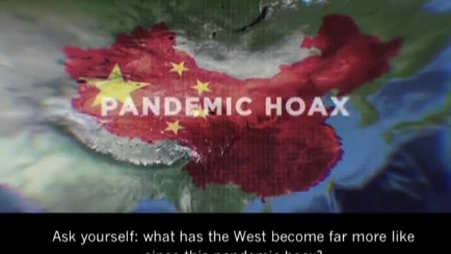 How Did They Pull Off The Pandemic - Davide Icke