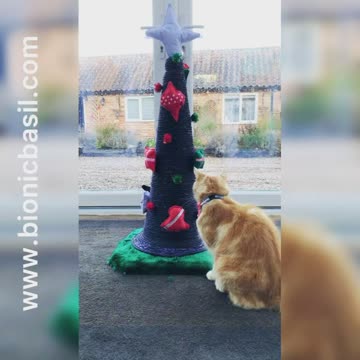 Cat Destroys Christmas Tree