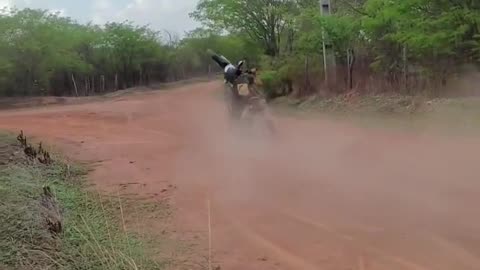 Funny videos