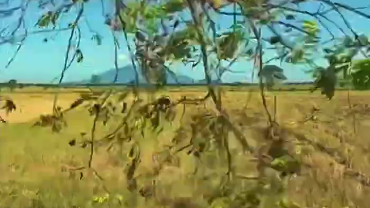 The Lonely Mountain Arayat in the Philippines