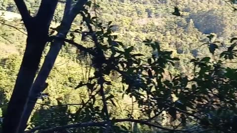 Cascata arroio bonito