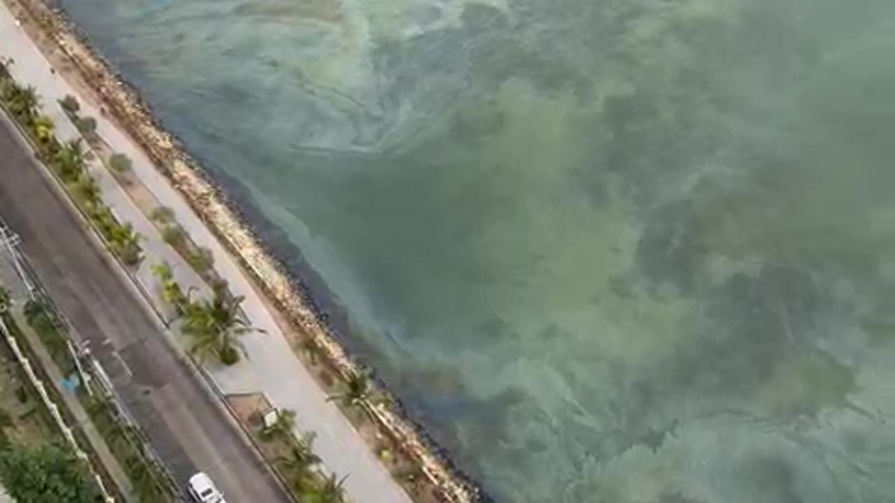 Video: reportan mancha oleosa en la bahía de Cartagena