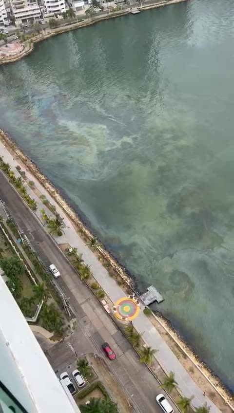 Video: reportan mancha oleosa en la bahía de Cartagena