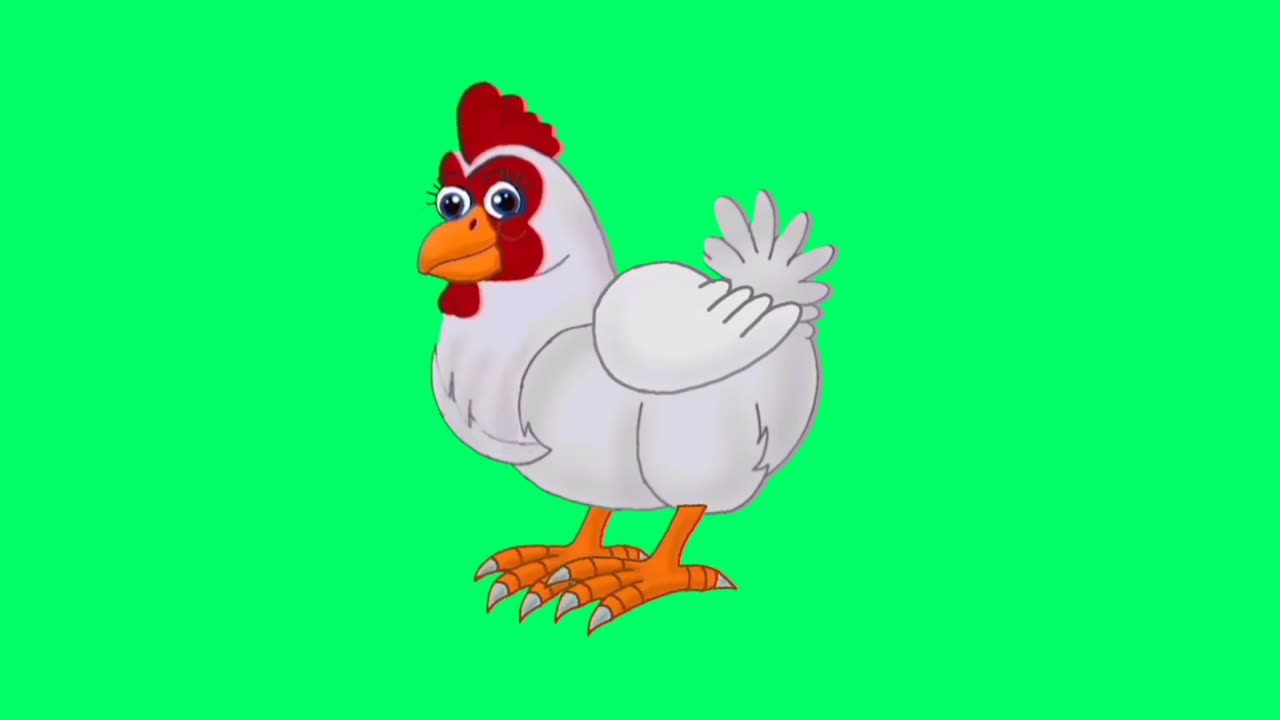 HEN ANIMATION !! GREEN SCREEN CARTOON !!!