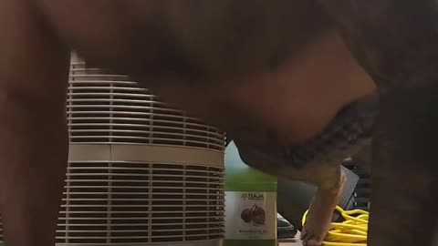 Underwear model