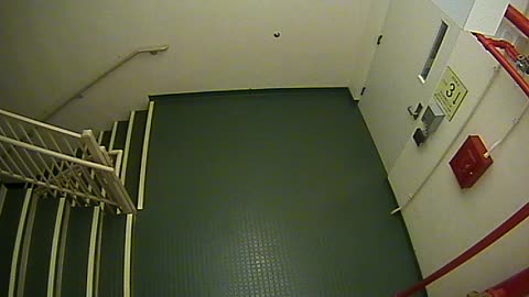 8403OHOB03Stair4_2021-01-05_05h14min20s523ms.mp4